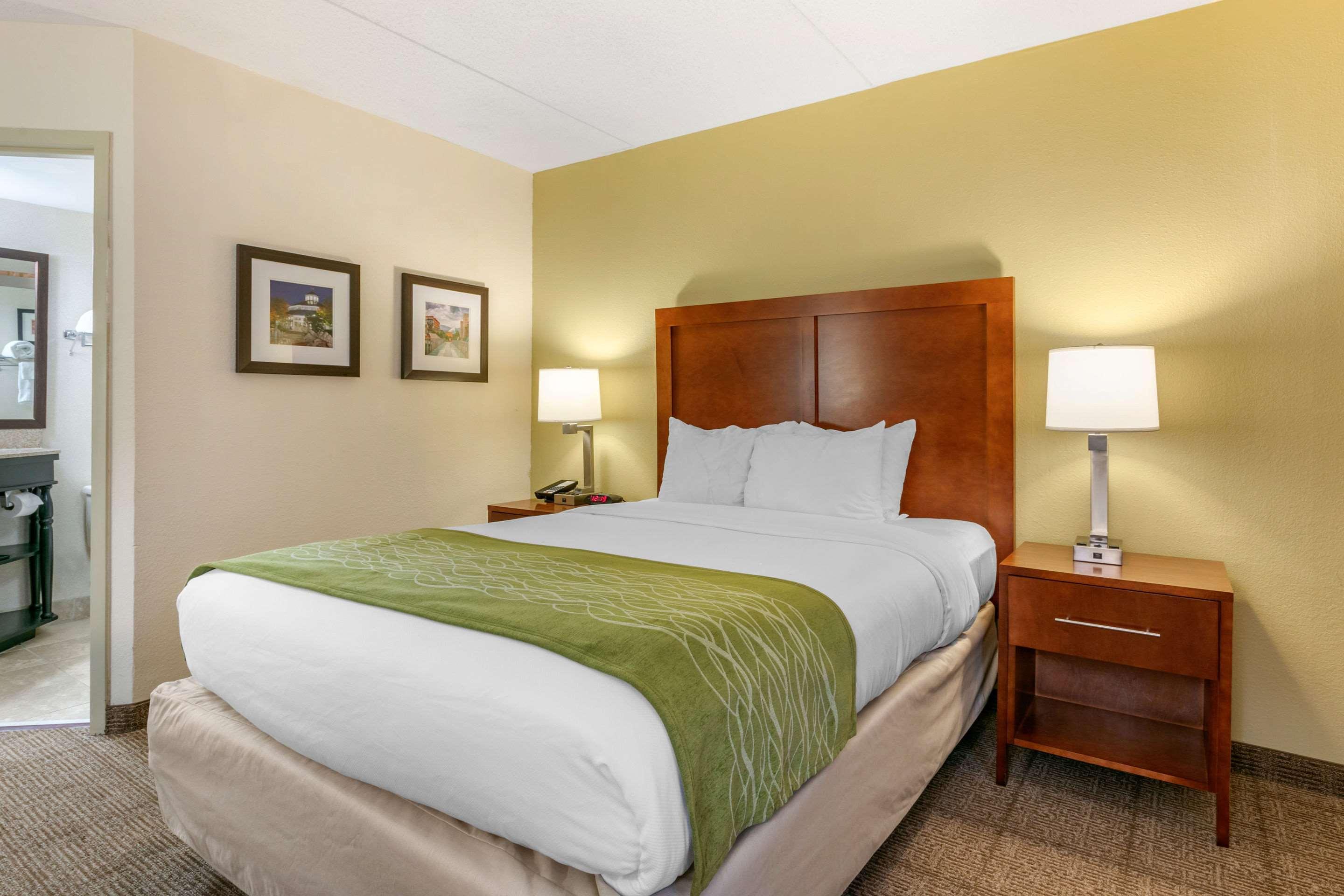 Comfort Inn Downtown Chattanooga Luaran gambar